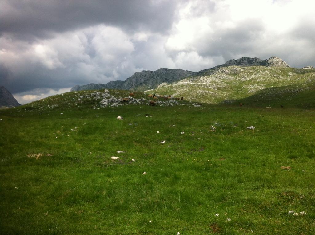 Boskovica Brvnare Guest House Zabljak  Luaran gambar