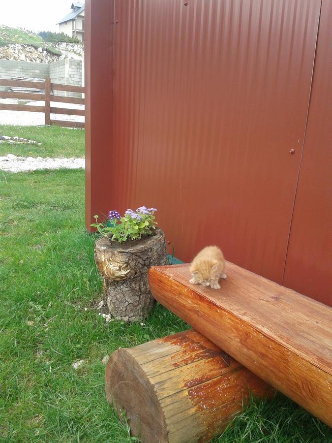 Boskovica Brvnare Guest House Zabljak  Luaran gambar