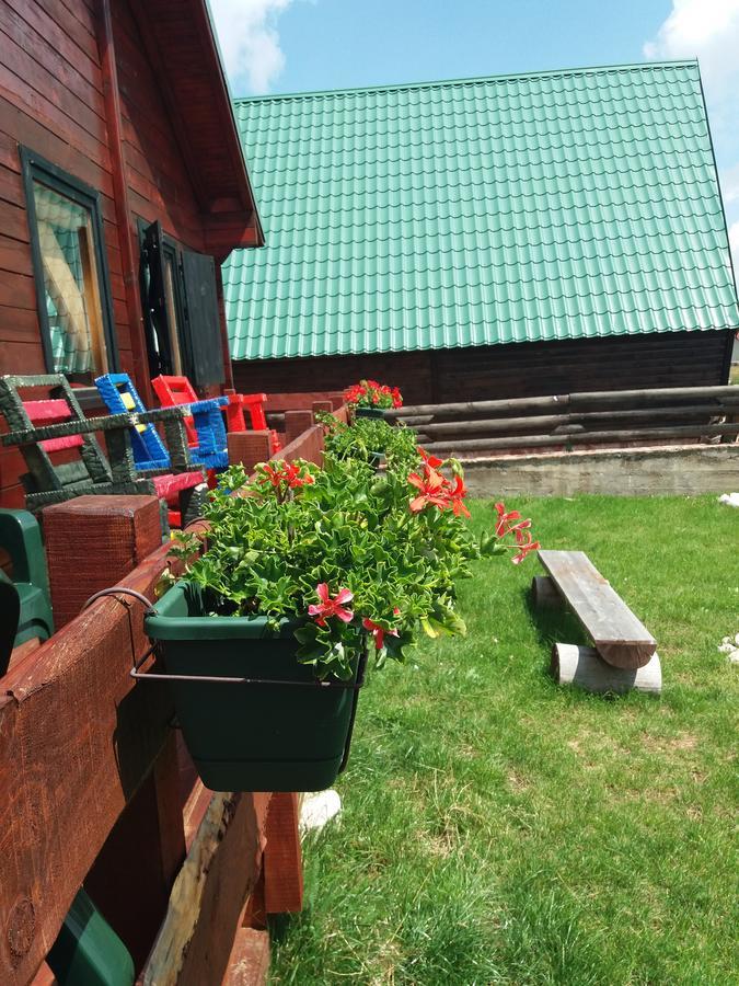 Boskovica Brvnare Guest House Zabljak  Luaran gambar