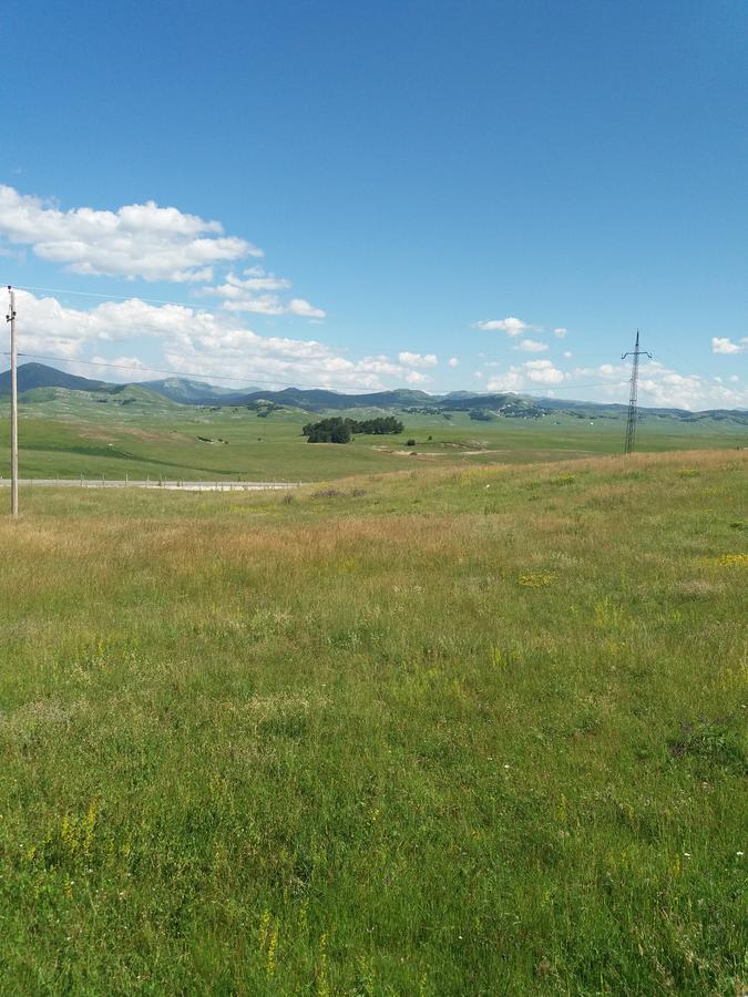 Boskovica Brvnare Guest House Zabljak  Luaran gambar